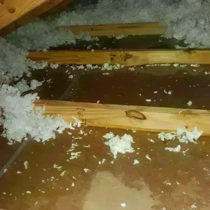 Attic Water Damage in Roland, IA