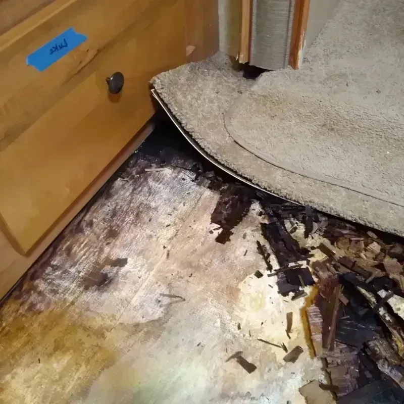 Wood Floor Water Damage in Roland, IA